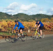 Bicyclists in Sonoma Wine Country