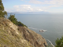 Coastal scenery in Sonoma County, California