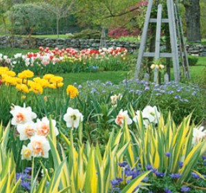 Ideas for designing your cottage garden