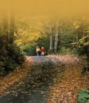 Cottage living means walking autumn trails